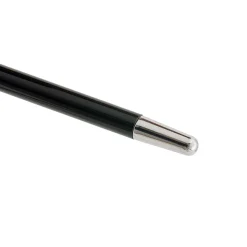 Bastone d'argento per cani