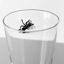 Bicchiere basso Vanitas