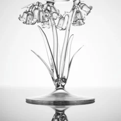 Bicchiere da cocktail Hyacinthoides Non-Scripta