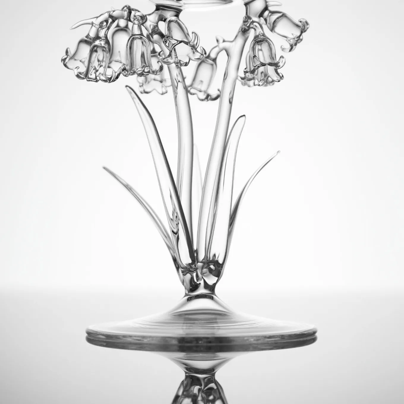 Bicchiere da cocktail Hyacinthoides Non-Scripta