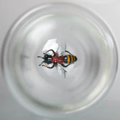 Bottiglia di Vetro Bee