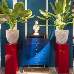 Cabinet reale dei medicinali di Lea Chen