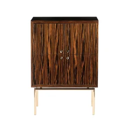 CABINET SECRET 1