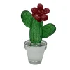 Cactus di vetro con fiore rosso