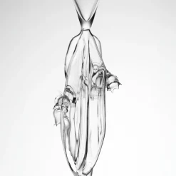 Calice da vino Convallaria Majalis