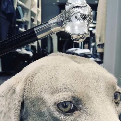 Calzascarpe Labrador argento