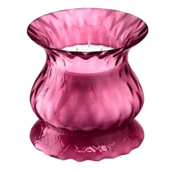 Candela Ruby Tulip