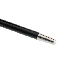 Canna del Leone d'argento