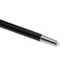 Canna dell'Aquila d'argento