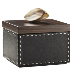 CAPRICIA box #8