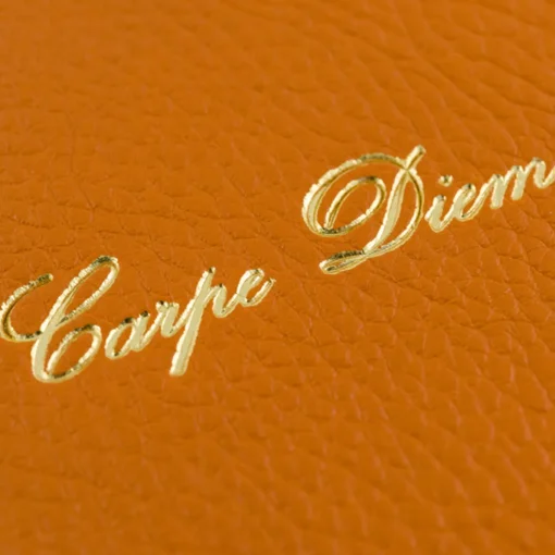 Carpe Diem Set di 2 diari arancioni