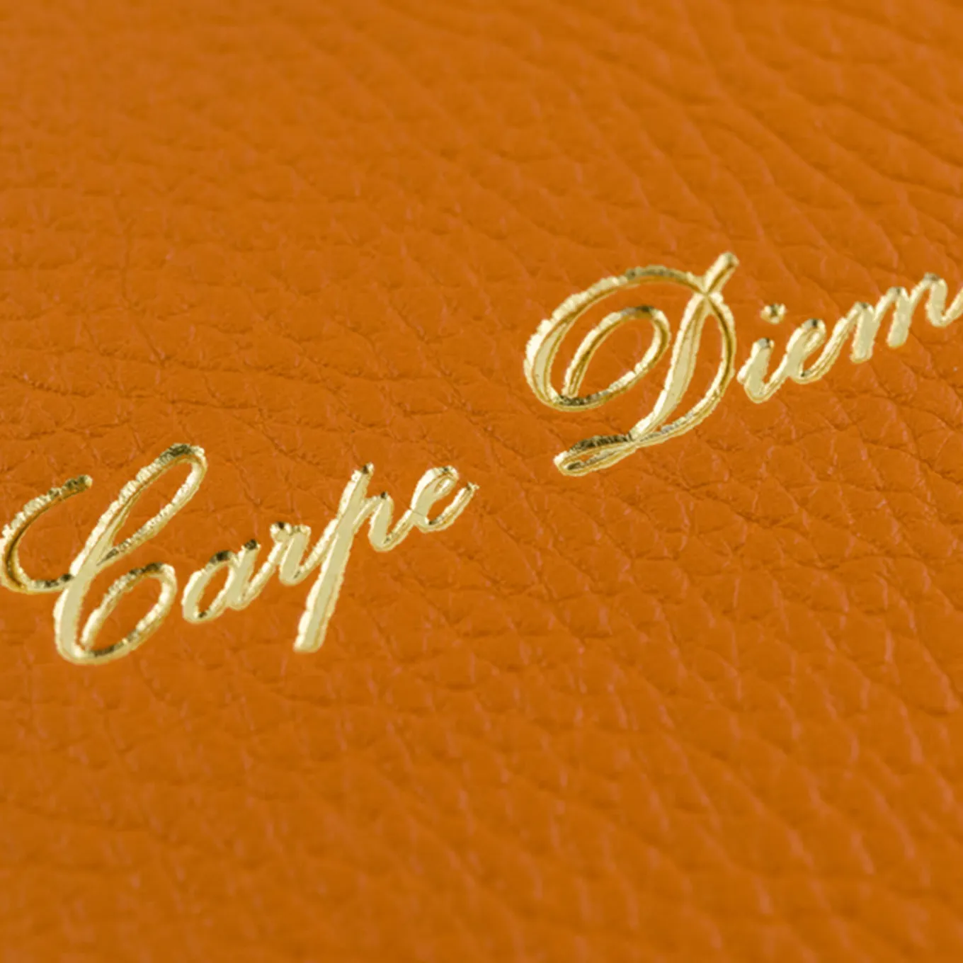 Carpe Diem Set di 2 diari arancioni
