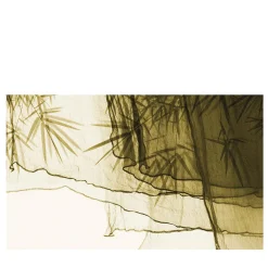 Carta da parati Floating on Bamboo