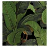 Carta da Parati Tropicale Nera e Verde con Foglie di Banano