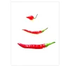Disegno digitale Capsicum #1