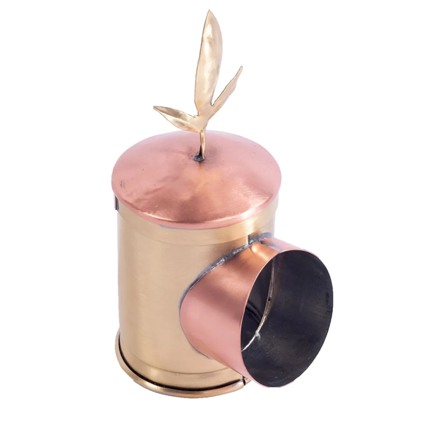 Famiglia Oliva - Degustatore Olfattivo di olio d'oliva Pigi
