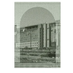 Finestre Tessili Grigio Arazzo #3