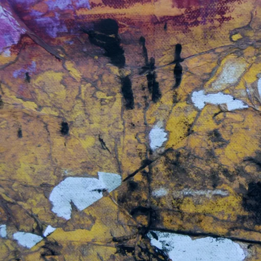 Fragili Equilibri Pittura