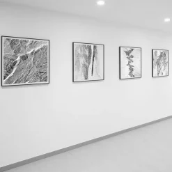 Gio Ponti Galleria Passerella Dettaglio Fotografia #16