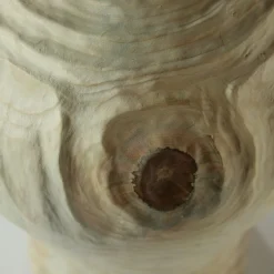 Groove FTG Vaso di araucaria in stile coreano