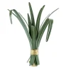 Hortus Foglie di lemongrass