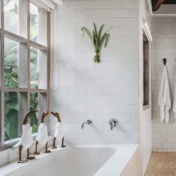 Hortus Foglie di lemongrass