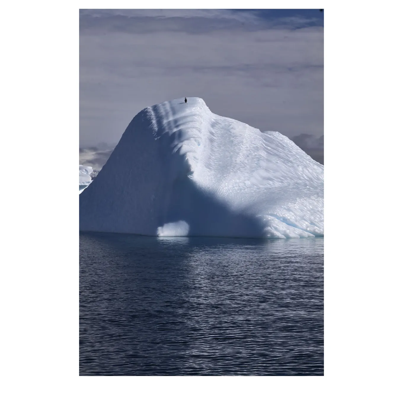 Iceberg da una fotografia zodiacale