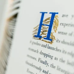 Il Libro d'Arte Decorativa in Edizione Limitata Onde Dorate