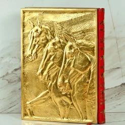 Il libro dei cavalli d'oro