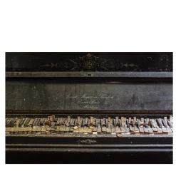 La Grande Bellezza - Il Grembo Del Suono - Stampa fotografica