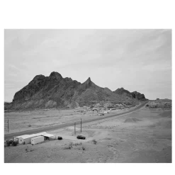 La lucertola #3 Fotografia