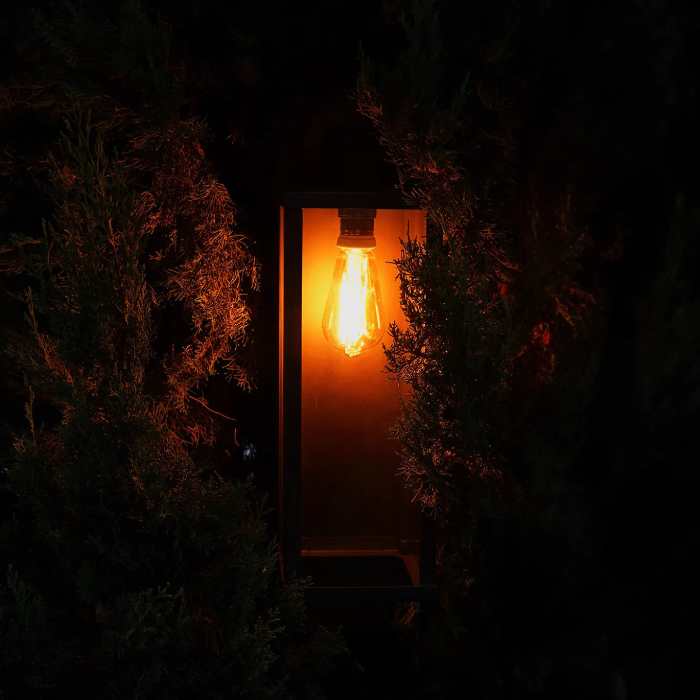 Lampada da parete Giulietta in ottone brunito