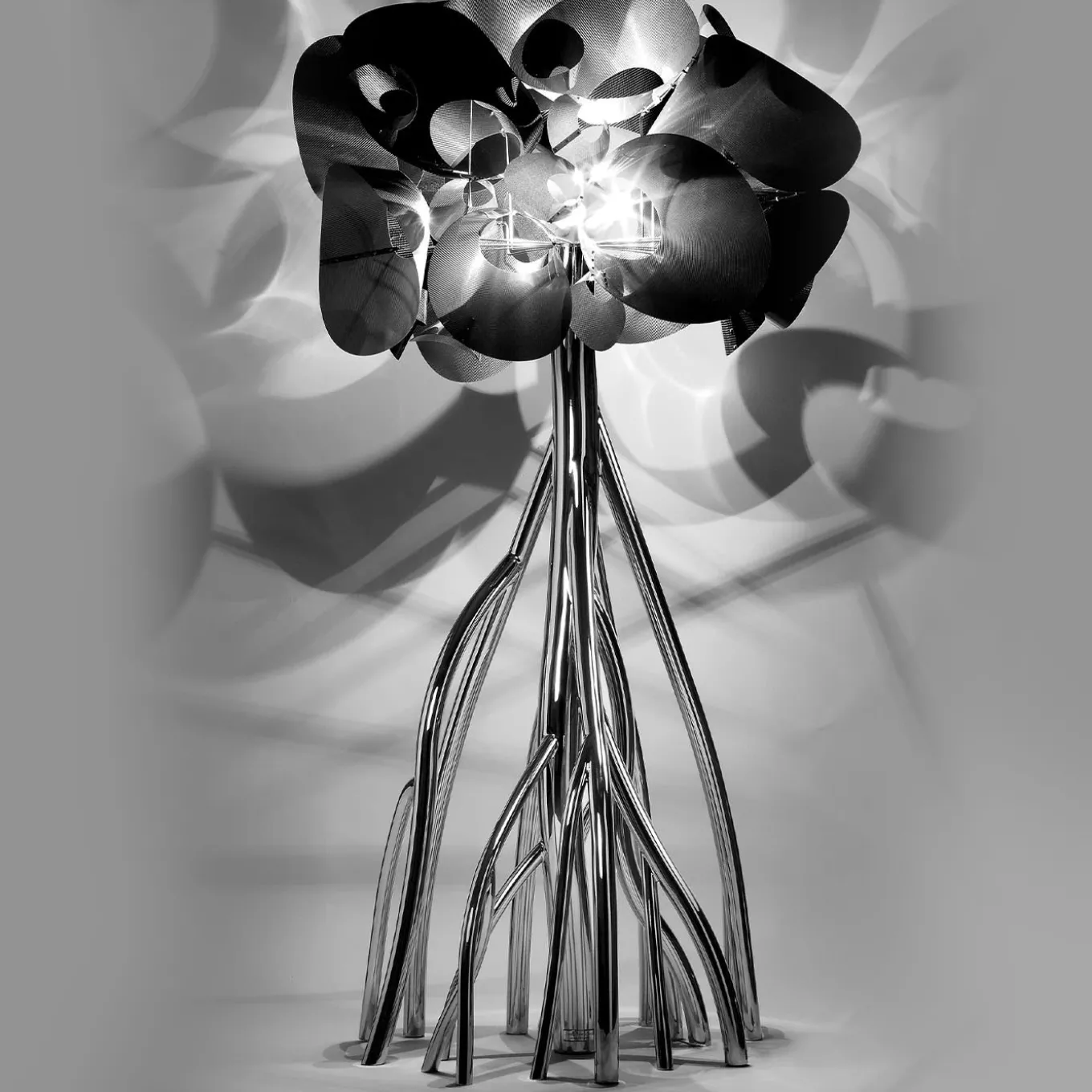 Lampada Mangrovia Em Flor