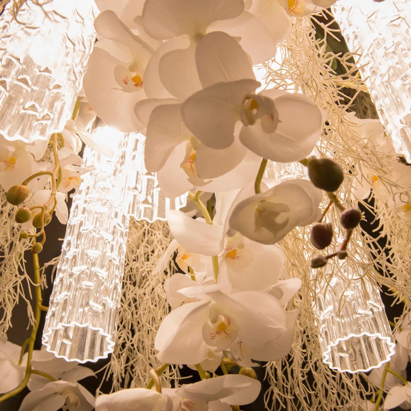Lampadario Phalaenopsis Flower Power