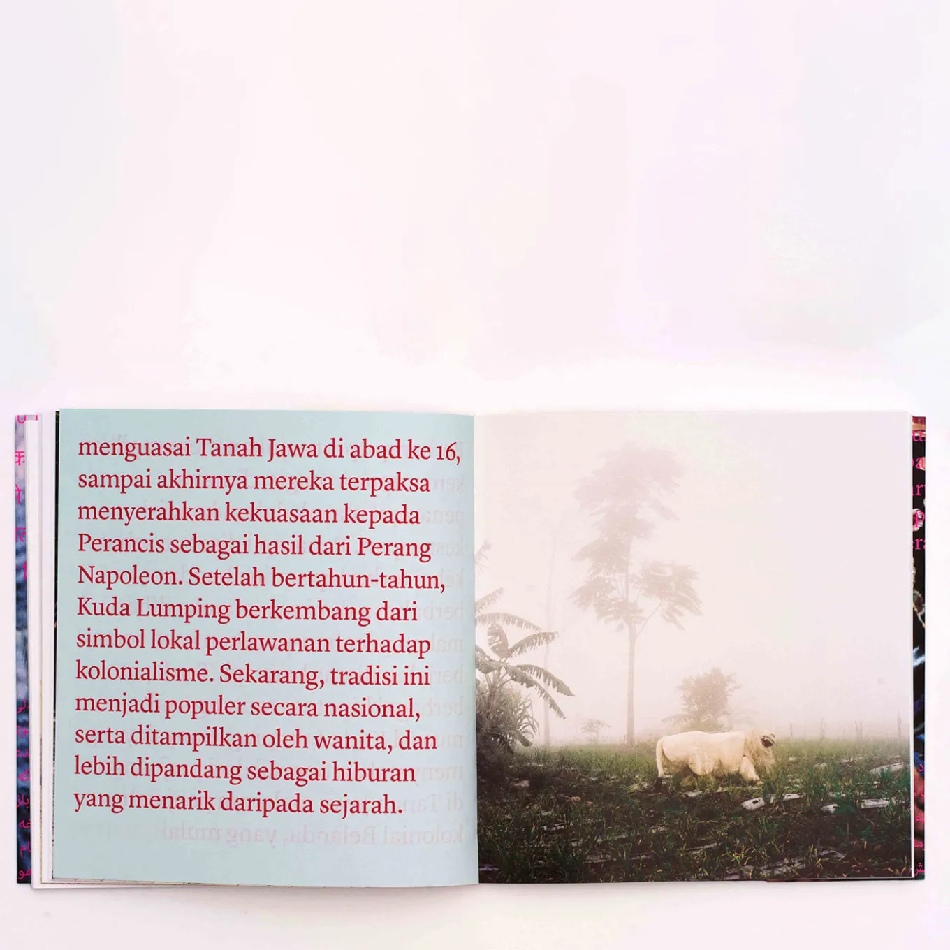 Like a Bird - Johanna Maria Fritz - Edizione limitata di 25 copie