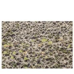 L'origine di un segreto Stampa Fine Art #4