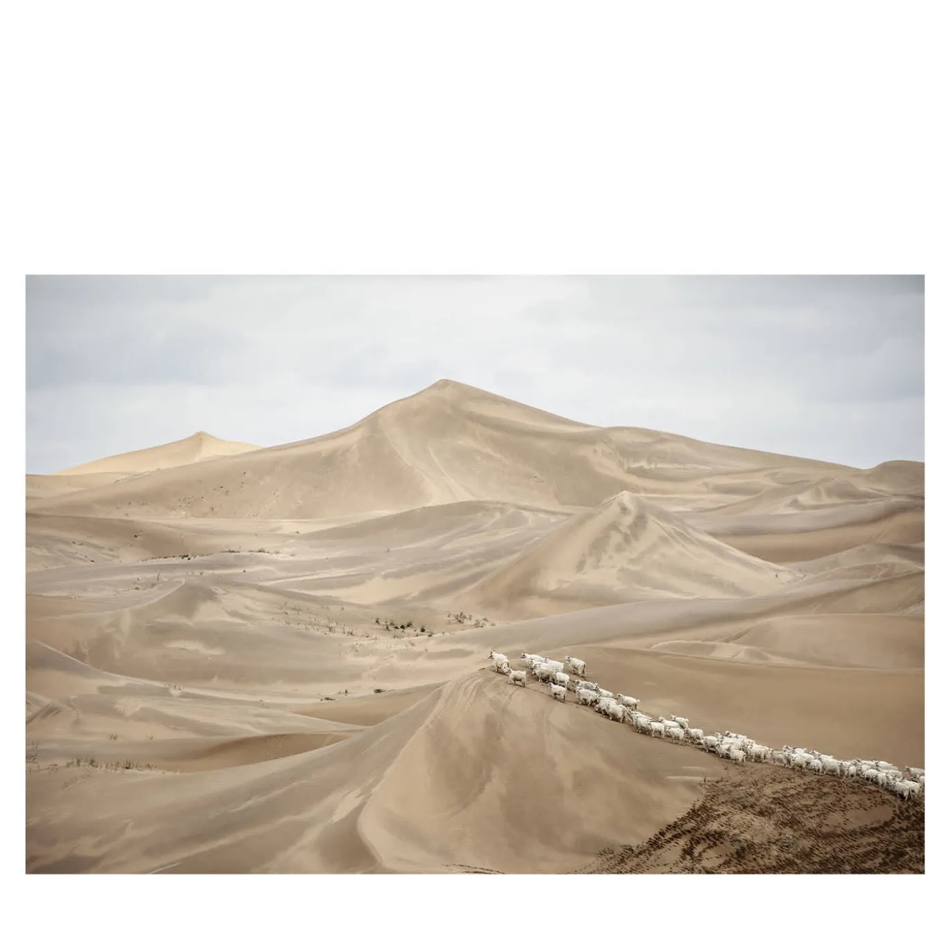 L'origine di una stampa fine art segreta