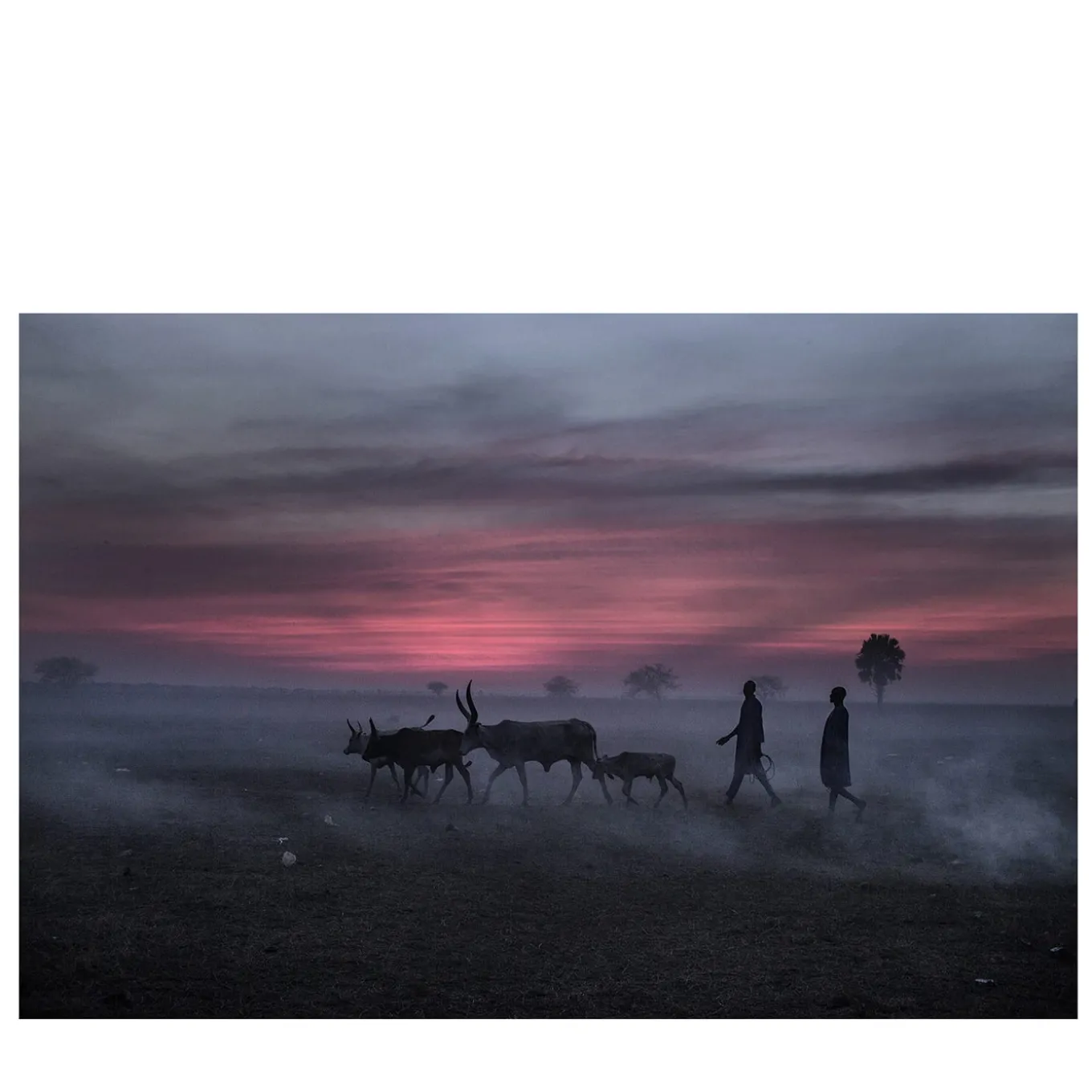 Maiores Nostri #06 Fotografia