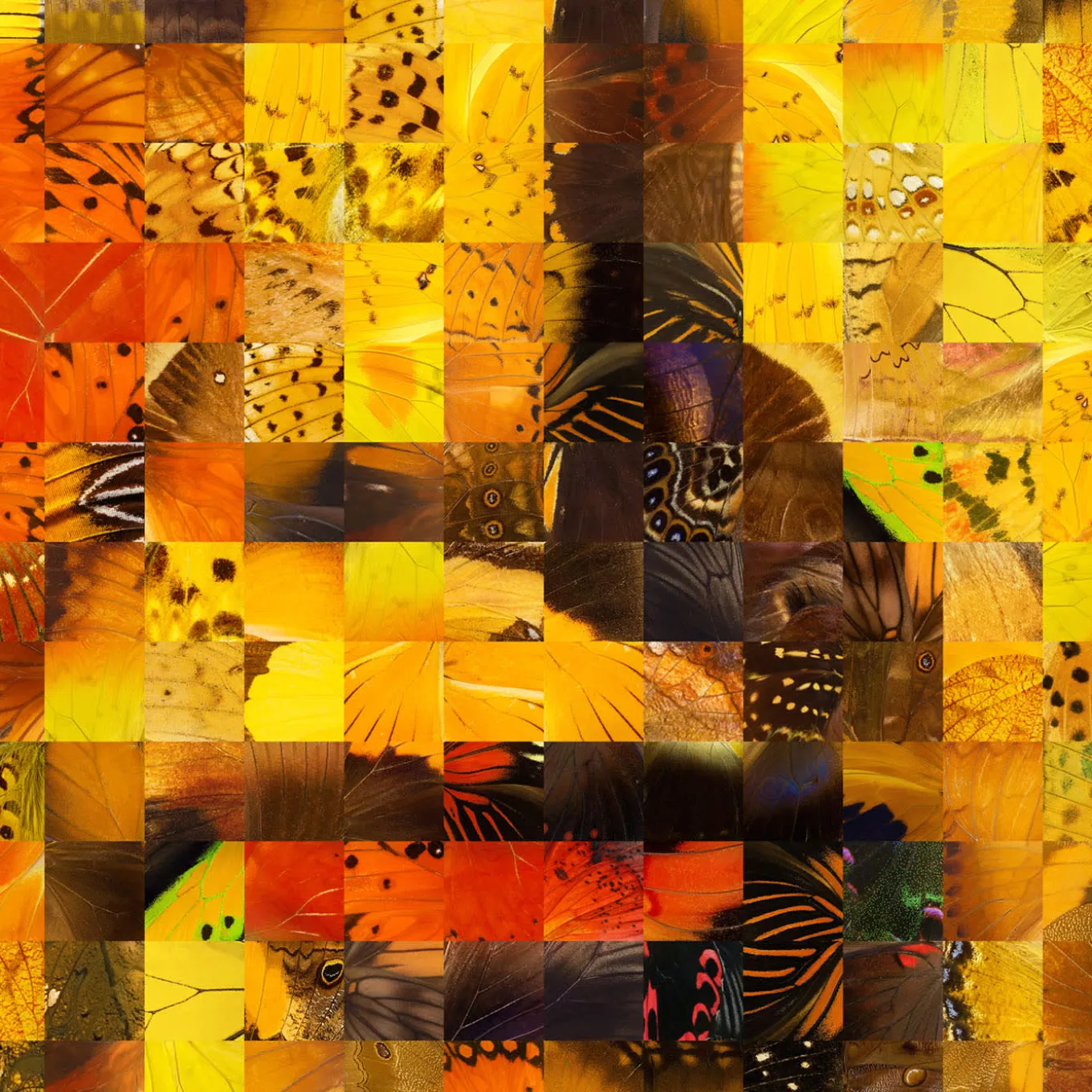 Mao Puzzling Pop Print Series 2020