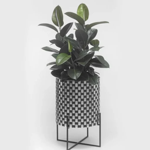 Nexum Optical 30 Nero Cachepot