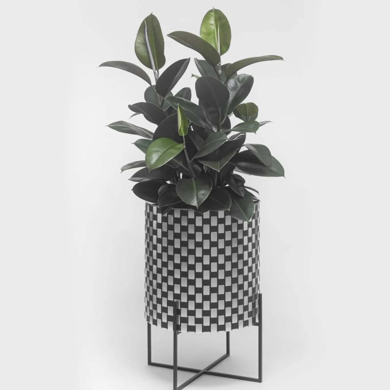 Nexum Optical 30 Nero Cachepot