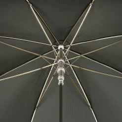 Ombrello Verde con Manico a Leone d'Argento