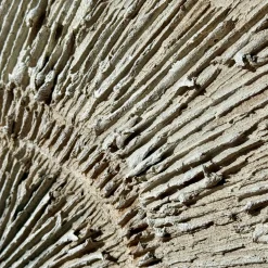 Pannello