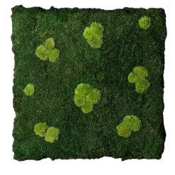 Pannello interno Flatmoss e Polemoss