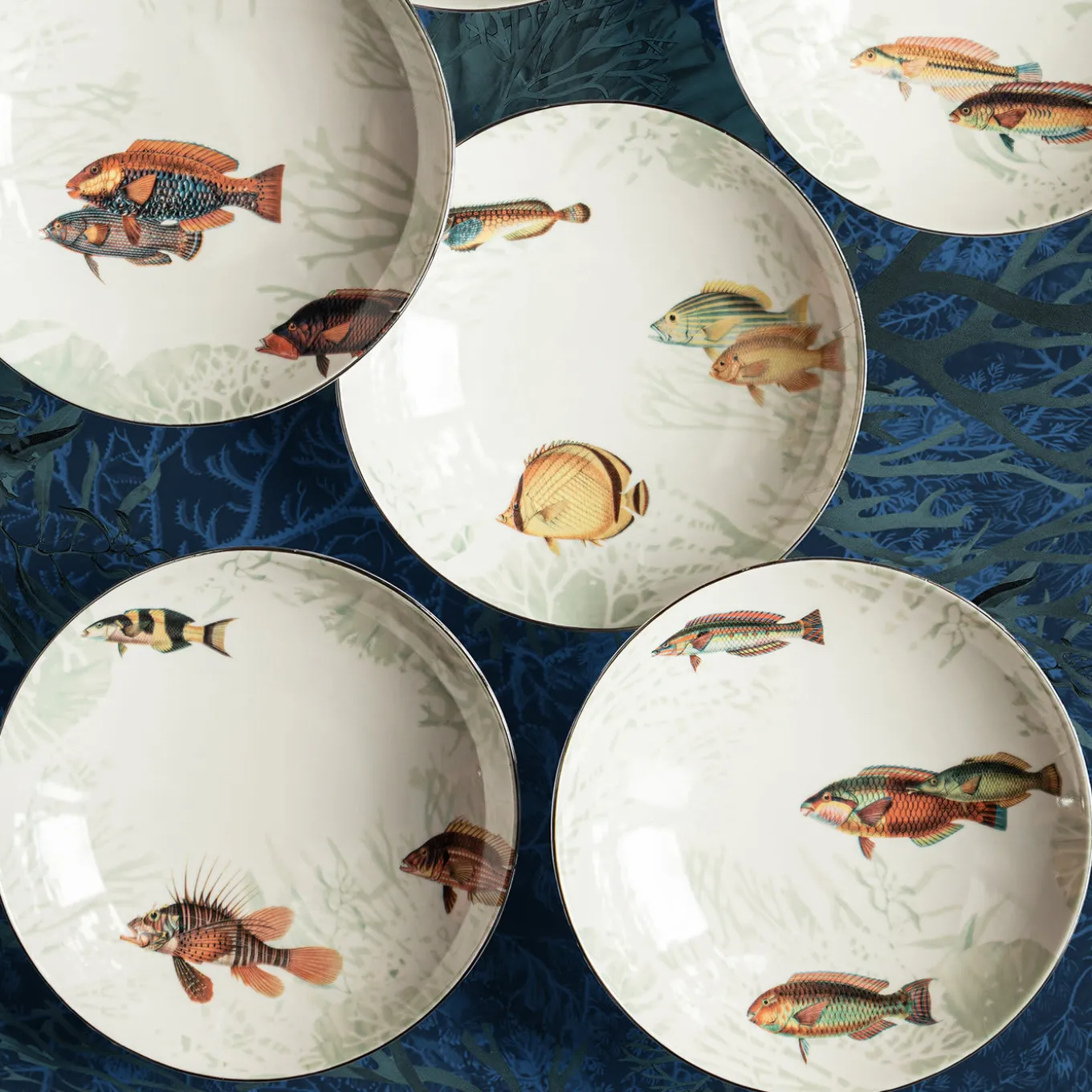Piatto da minestra in porcellana Amami con pesci tropicali #4