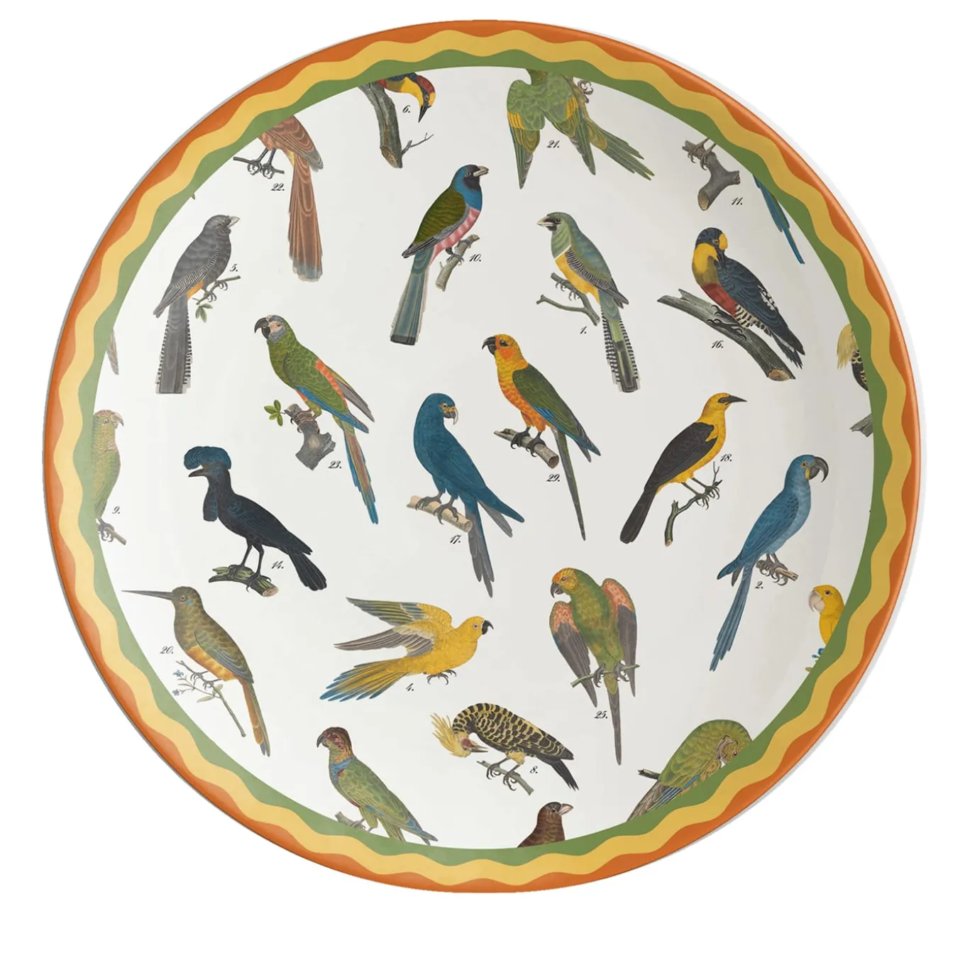 Piatto da portata in porcellana Cabinet De Curiosités con uccelli