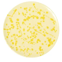 Piatto decorativo in ceramica giallo e crema