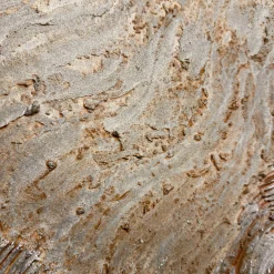 Quadro Materico Stratificazioni in resina