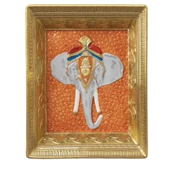 Ragiasthan Arancione Oro Vide Poche