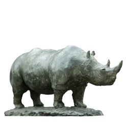Rinoceronte Scultura in bronzo